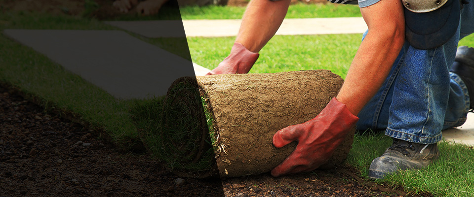 Waskish Landscapers